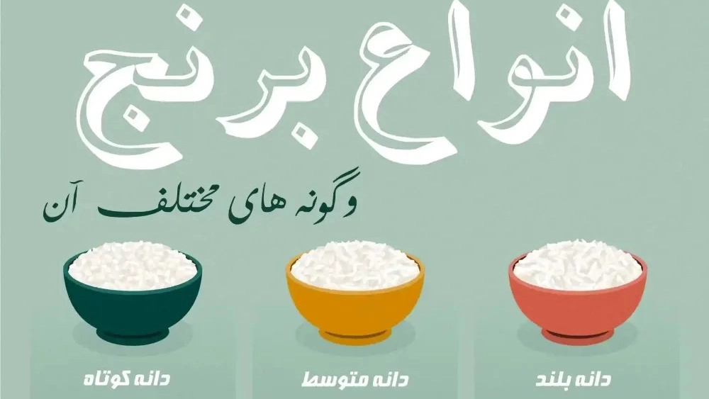 برنج کریم پور در مازندران