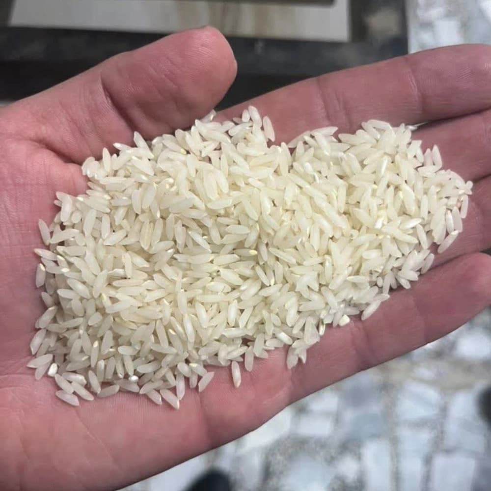 خرید مستقیم برنج طارم و کشت دوم